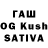 Галлюциногенные грибы GOLDEN TEACHER tomi832