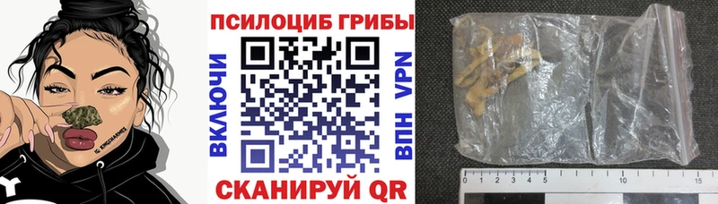 Купить  Аткарск  Псилоцибиновые грибы MAGIC MUSHROOMS 